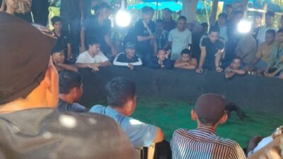 Diminta kepada APH Dan Pemkab Batu Bara Tutup Perjudian Sabung Ayam Di Desa Mangkai Lama Lima Puluh