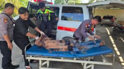 Kasus Kematian Mahasiswi di Kandis Diusut Intensif, Polisi Dalami Dugaan Pembunuhan