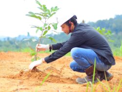Dukung Rehabilitasi Lingkungan Pascabanjir Aceh Timur, Medco E&P Malaka, BPMA, IM-TRAX Tanam 1.000 Pohon