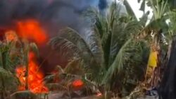 DLH Aceh Timur Fokus Tangani Dampak Lingkungan Kebakaran Minyak, Status Ilegal Diserahkan ke Pihak Berwenang