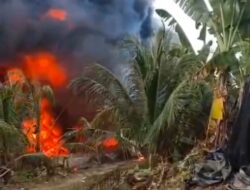 DLH Aceh Timur Fokus Tangani Dampak Lingkungan Kebakaran Minyak, Status Ilegal Diserahkan ke Pihak Berwenang