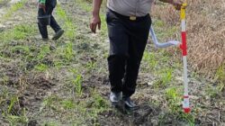 Tanaman Jagung Memasuki Fase Pemupukan, Polsek Kandis Pastikan Program Ketahanan Pangan Berjalan Optimal