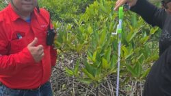 PT DPM Perkuat Komitmen Pelestarian Lingkungan, Rehabilitasi DAS hingga Pemberdayaan Petani Beri Manfaat Nyata bagi Masyarakat Dairi