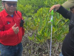 PT DPM Perkuat Komitmen Pelestarian Lingkungan, Rehabilitasi DAS hingga Pemberdayaan Petani Beri Manfaat Nyata bagi Masyarakat Dairi