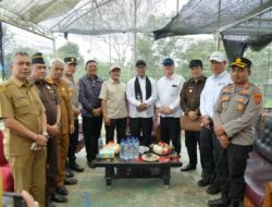 ‎Mentan Apresiasi Kinerja Pemerintah Aceh, Janji Terus Dukung Pengembangan Pertanian dan Kopi Gayo