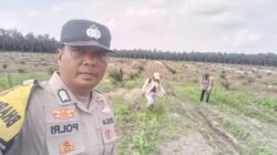 Polsek Kandis Pastikan Perawatan Jagung Berjalan Optimal, Dukung Program Swasembada Pangan Nasional