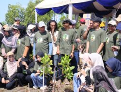 Medco E&P dan BPMA Tanam 1.000 Mangrove di Banda Aceh