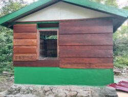 Rehab Rumah Genset TMMD Ke-129 Kodim 1807/Sorong Selatan Hampir Rampung, Progres Capai 90 Persen