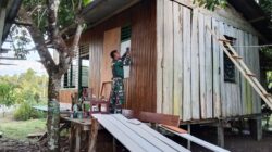TMMD Ke-129 Kodim 1807/Sorong Selatan Mulai Wujudkan Rumah Layak Huni, Rehab RTLH Milik Ibu Diana Capai 25 Persen