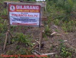Petugas penertipan Kawasan Hutan Mendapat perlawanan dari Penggarap liar,Kawasan Hutan menjadi perkebunan Kelapa Sawit