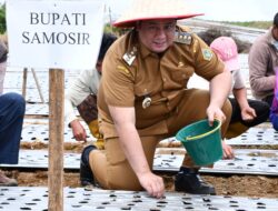 Bupati Samosir Kembali Serahkan Bantuan 4 Ton Benih Bawang Putih Dalam Memperkuat Pengembangan Bawang Putih
