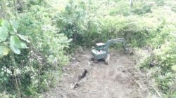 Program Unggulan TNI AD Berjalan, Satgas TMMD Ke-129 Buka Lahan Ketahanan Pangan di Kampung Sesor