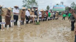 Wakil Gubernur dan Bupati Sorong Selatan Resmi Lakukan Penanaman Padi Perdana di Lahan Cetak Sawah Moswaren