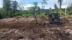 TMMD Ke-129 Tuntaskan Pembukaan Lahan 1 Hektar, Siap Ditanami untuk Perkuat Ketahanan Pangan Kampung Sesor