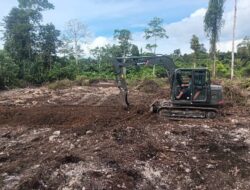 TMMD Ke-129 Tuntaskan Pembukaan Lahan 1 Hektar, Siap Ditanami untuk Perkuat Ketahanan Pangan Kampung Sesor