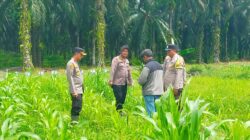 Ketahanan Pangan, Kompol Herman Pelani: Pengolahan Lahan Menjadi Tahapan yang Penting