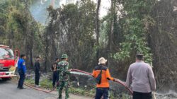 Gerak Cepat Polsek Pesisir Utara Bersama Instansi Terkait Padamkan Kebakaran Hutan Kawasan TNBBS