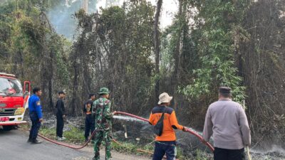 Gerak Cepat Polsek Pesisir Utara Bersama Instansi Terkait Padamkan Kebakaran Hutan Kawasan TNBBS