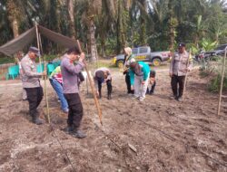 POLISI TURUN KE LAHAN! 4 HEKTARE JAGUNG DITANAM, KETAHANAN PANGAN DI KANDIS DIGENJOT
