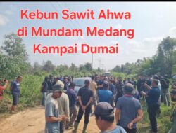 Heboh..! Ada Plang Satgas PKH Ahwa Cs Diduga Tetap Memanen APN Diminta Melakukan Pengawasan