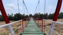 Jembatan Gantung Desa Teluk Tigo Rampung, Akses dan Mobilitas Warga Semakin Lancar