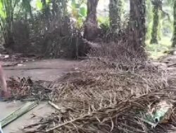 Menindaklanjuti Dumas,atau Dugaan ada nya Barak Narkoba di Aek Loba 