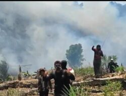 Kebakaran Hutan dan Lahan Kembali Terjadi Diarea PT Jebus Mandiri