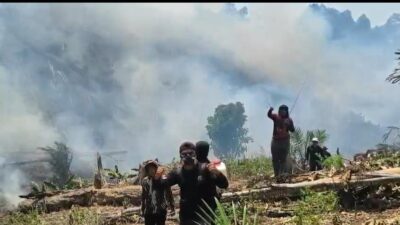 Kebakaran Hutan dan Lahan Kembali Terjadi Diarea PT Jebus Mandiri