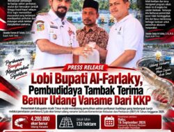 Pulihkan Ekonomi Petambak Korban Banjir, Al-Farlaky Tabur Benur Perdana di Peureulak
