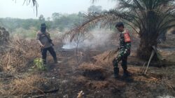 Ground Check Hotspot di Desa Sumber Agung, Tim Gabungan Pastikan Api Karhutla Telah Padam
