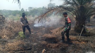 Ground Check Hotspot di Desa Sumber Agung, Tim Gabungan Pastikan Api Karhutla Telah Padam