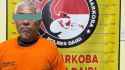 Dari Daun Ganja Kering di Rumah, Polisi Bongkar Ladang 20 Batang di Tanah Pinem