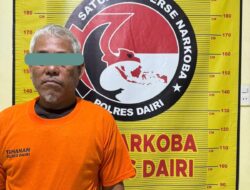 Dari Daun Ganja Kering di Rumah, Polisi Bongkar Ladang 20 Batang di Tanah Pinem