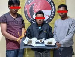 Ringkus Kurir hingga Pemasok Ganja, Sat Narkoba Polres Dairi Komitmen Putus Rantai Peredaran Narkoba