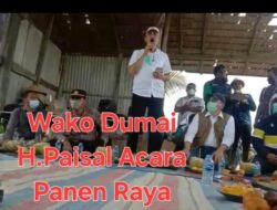 Diduga Bangunan Liar Permanen Berdiri Dilokasi Lahan Pertanian Masyarakat Tanjung Penyebal Warganet Minta Dispertaru Dumai Turun Lapangan Menertibkan 