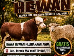 TNI Buka Peluang Usaha Peternakan di Dairi, Pekan Raya Ternak Digelar 22 Oktober