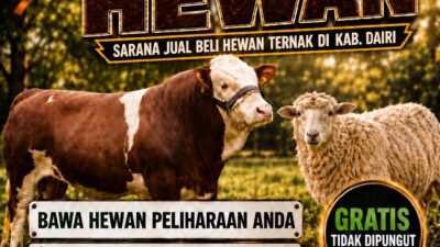 TNI Buka Peluang Usaha Peternakan di Dairi, Pekan Raya Ternak Digelar 22 Oktober