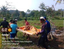 Tenggelam di Pantai Sayar, Seorang warga Asal Pekon Kerbang Langgar Ditemukan Meninggal Dunia, Polres Pesisir Barat Bersama Tim Gabungan Basarnas Lakukan Evakuasi