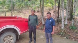 Dugaan Illegal Logging,Lae Luhung Disorot Petugas Kehutanan dan langsung Turun ke Lapangan 