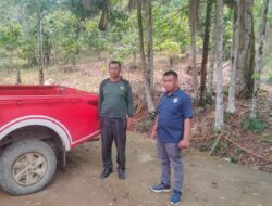 Dugaan Illegal Logging,Lae Luhung Disorot Petugas Kehutanan dan langsung Turun ke Lapangan 