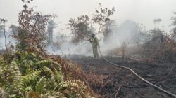 Tim Gabungan Berjibaku Padamkan Karhutla Seluas ±40 Hektare di Sungai Abang