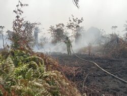 Tim Gabungan Berjibaku Padamkan Karhutla Seluas ±40 Hektare di Sungai Abang
