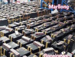 Bea Cukai Gagalkan Rokok Ilegal Marllong Sebanyak 1250 Karton Rokok Ilegal di Bakauheni 